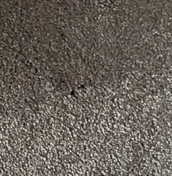 GREY-SIENNA